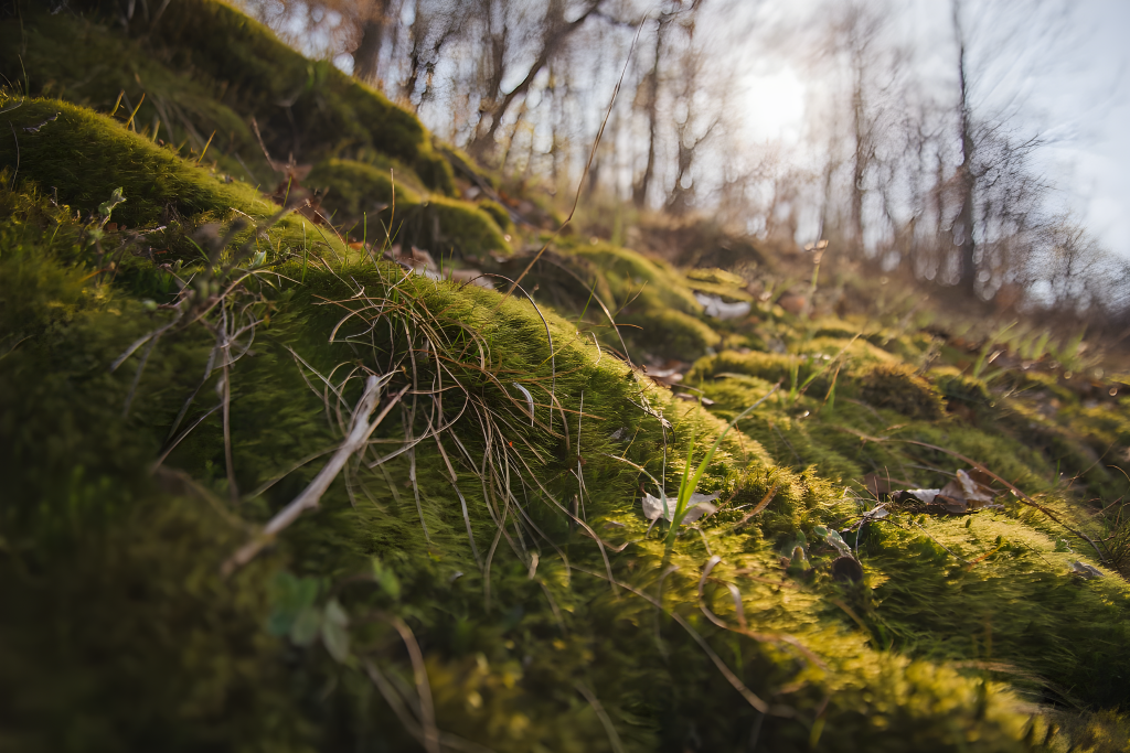 Bergerak dari Akar Rumput, Tercipta 150 Bank Sampah di Solo