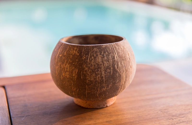 Coconut Shell Flower Pot