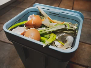 Perbedaan Sampah Organik dan Anorganik