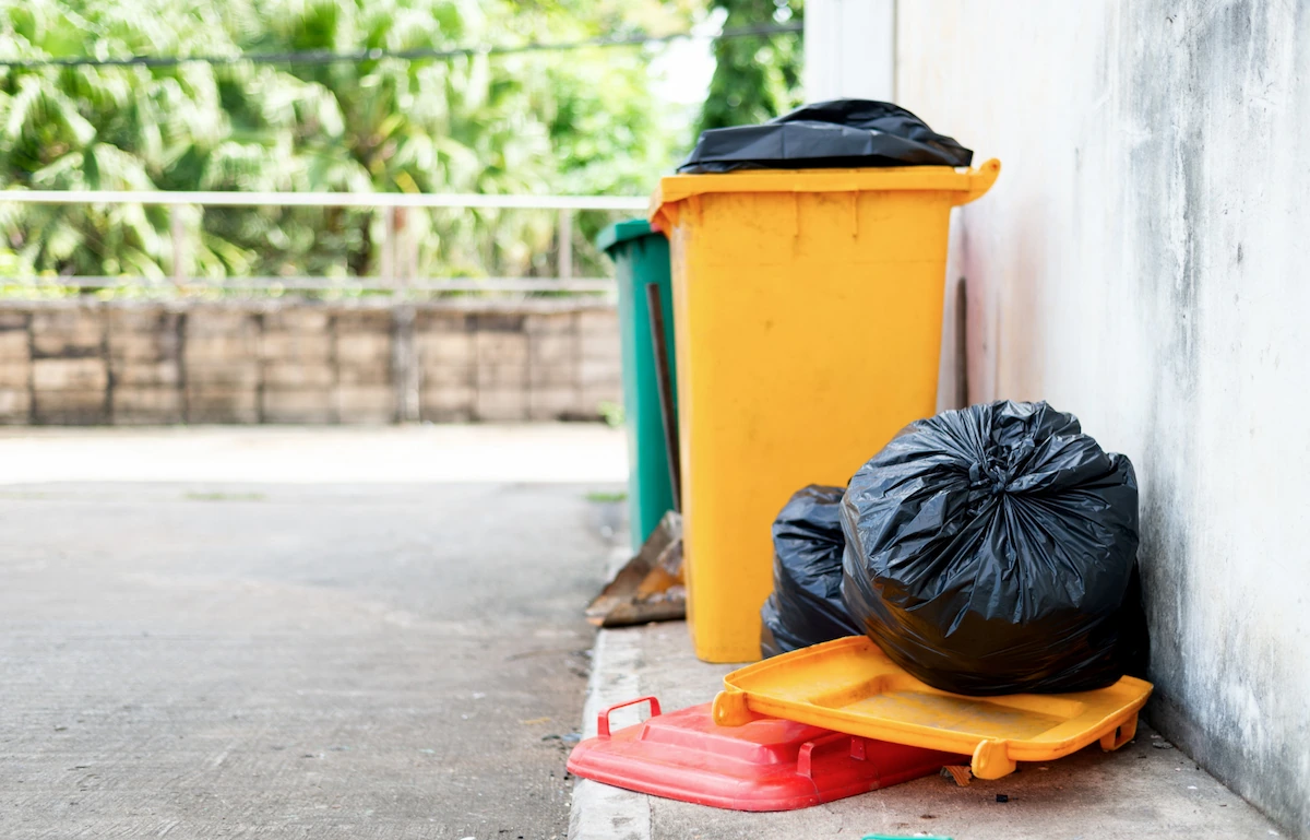 Examples of Organic Waste at School