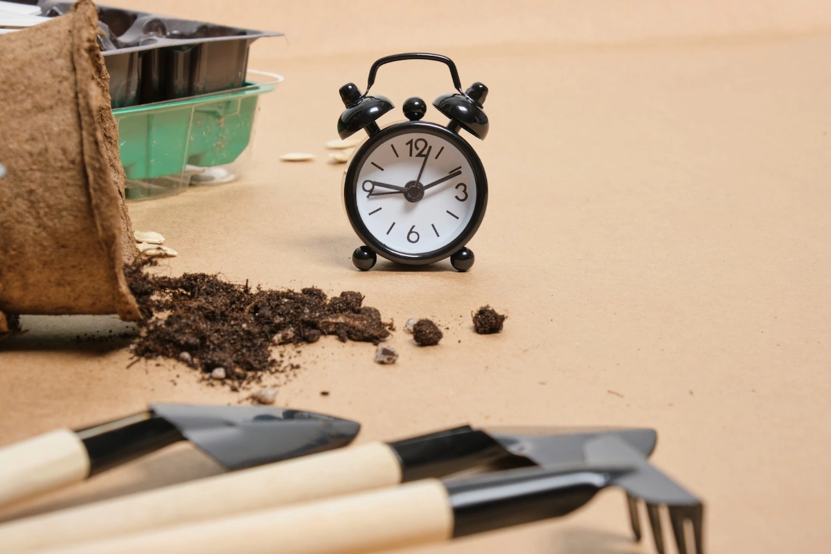 7. Waiting for 2-3 Weeks