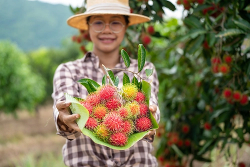 Benefits of Compost for Plants