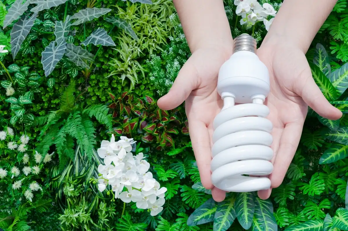 Benefits of Energy-Saving Light Bulbs