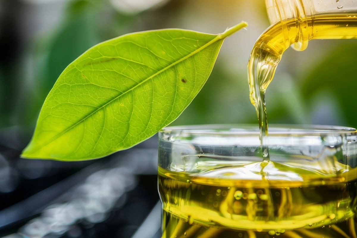 What Can Used Cooking Oil Be Used For