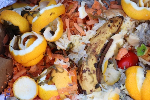 Cara Membuat Eco Enzyme