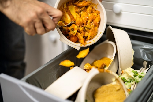 The Impact of Food Waste